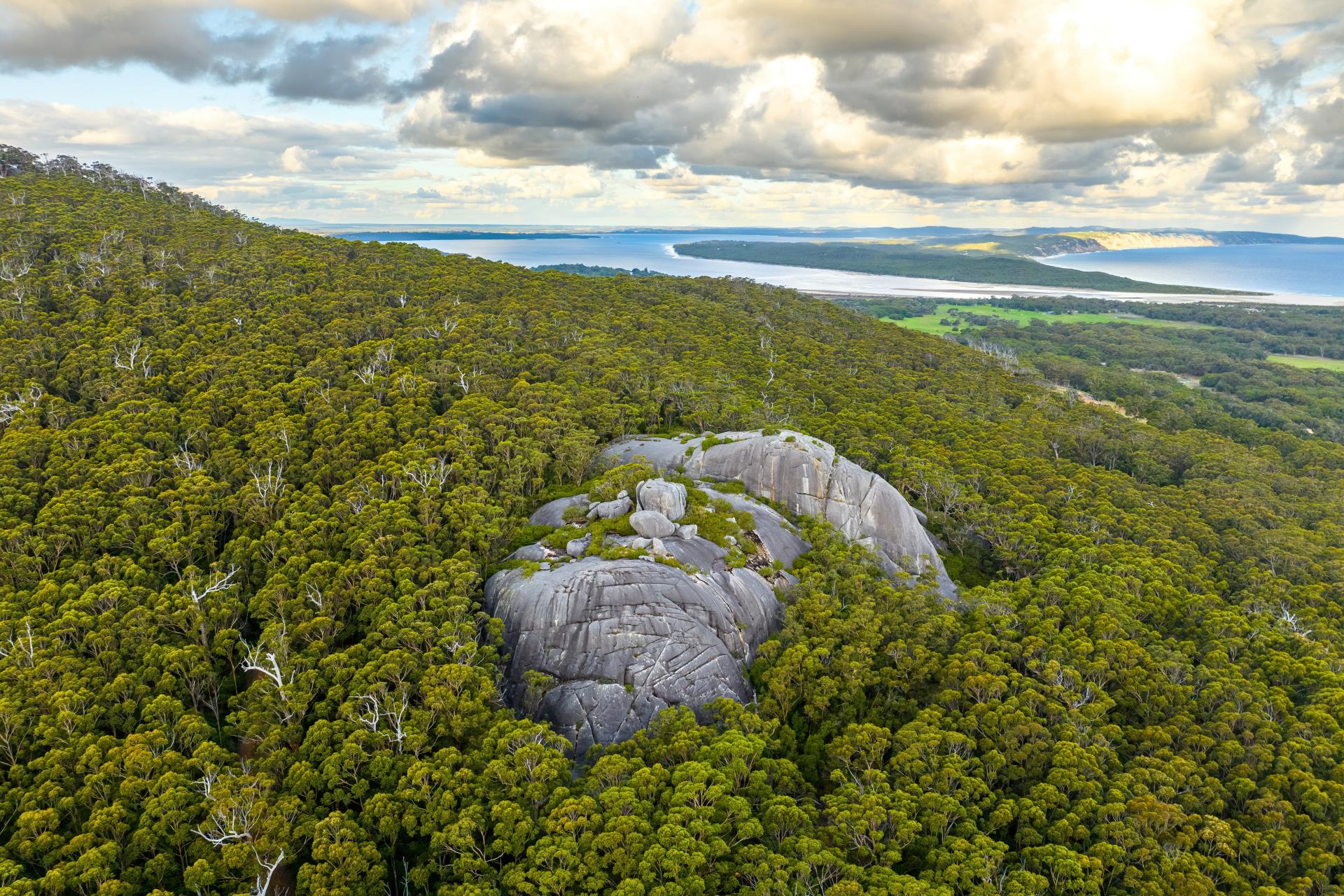 Mt Hallowell Reserve Management Plan Review Set to Begin