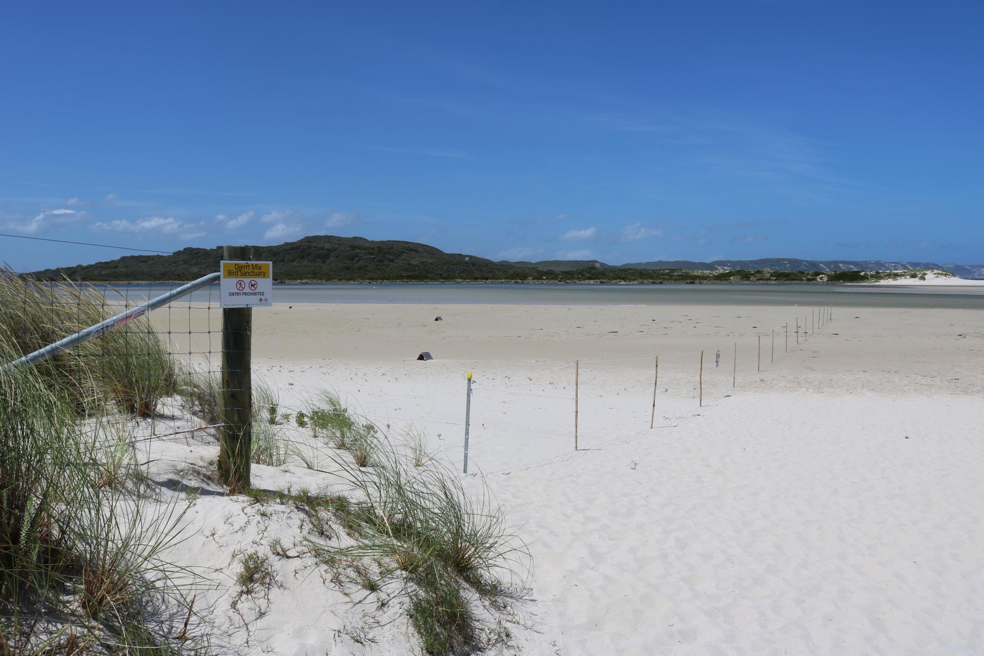 Temporary Fencing Installed at Bird Sanctuary as Migratory Birds Arrive