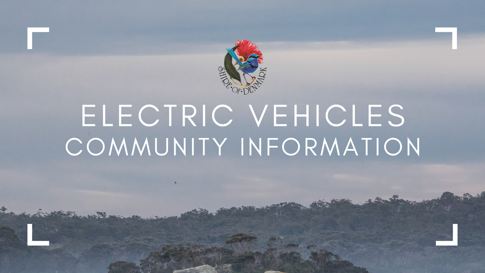 Community Information Sheet for Electric Vehicles