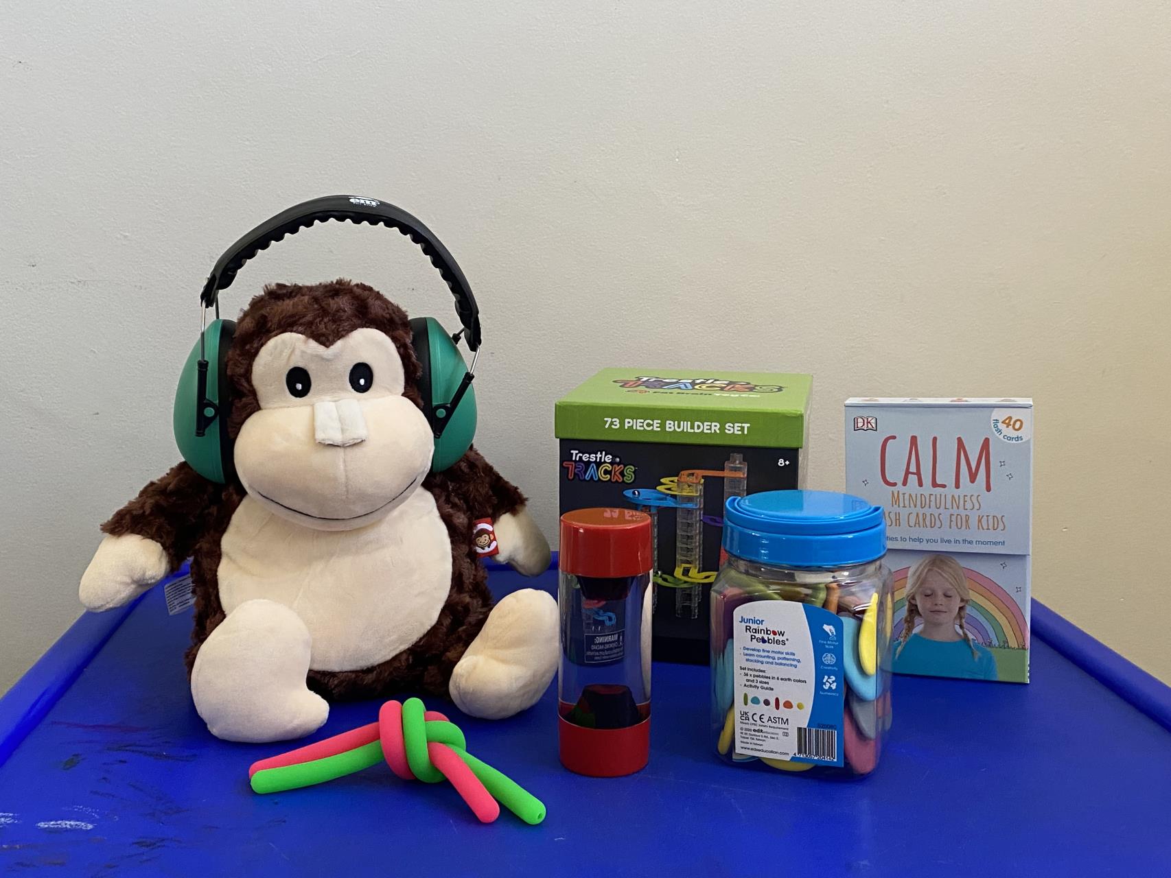 Kids Sensory Kits Join the Collection at Denmark's Library