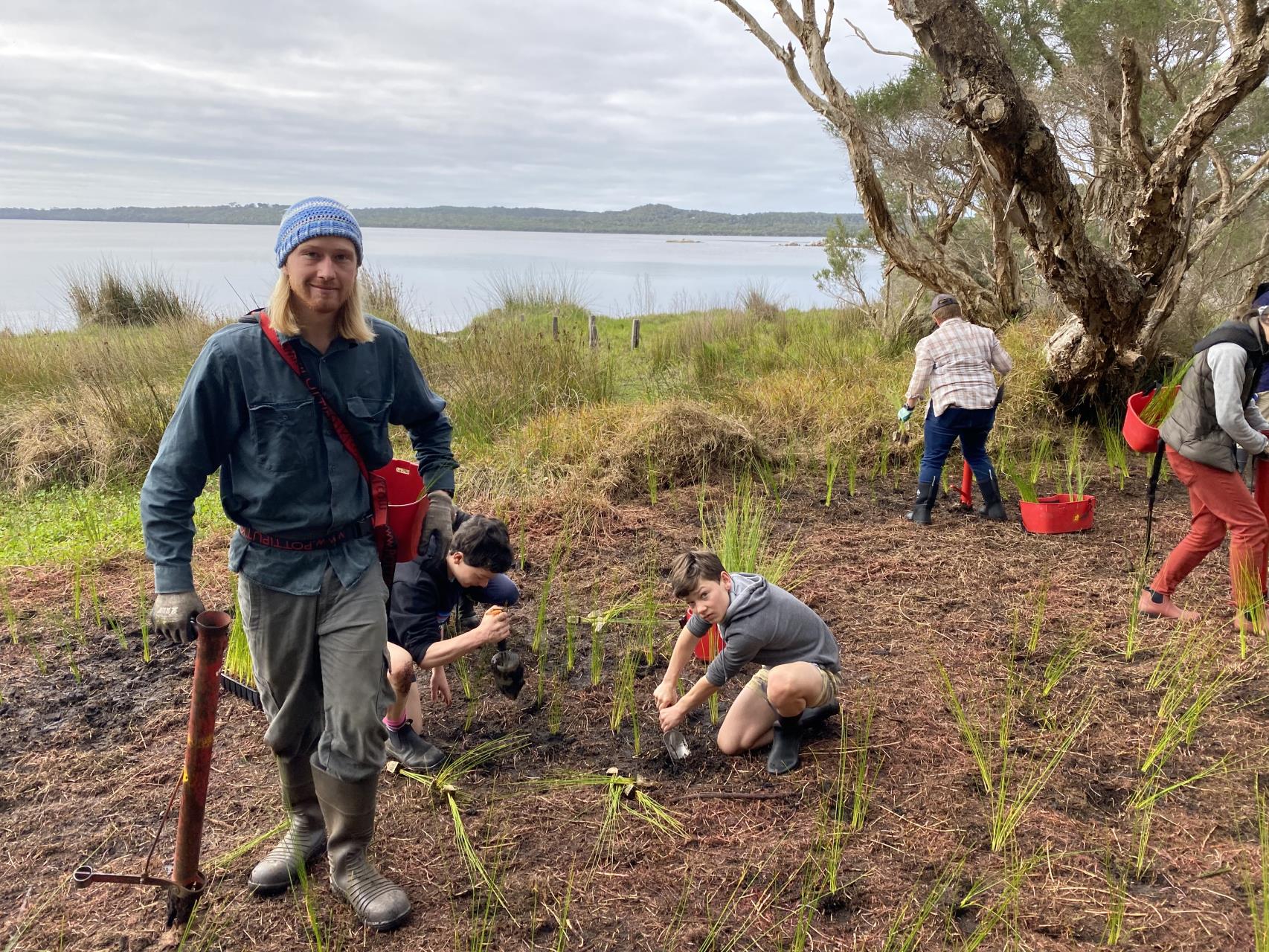 Ongoing Revegetation Efforts to Heal Illegal Clearing on Inlet