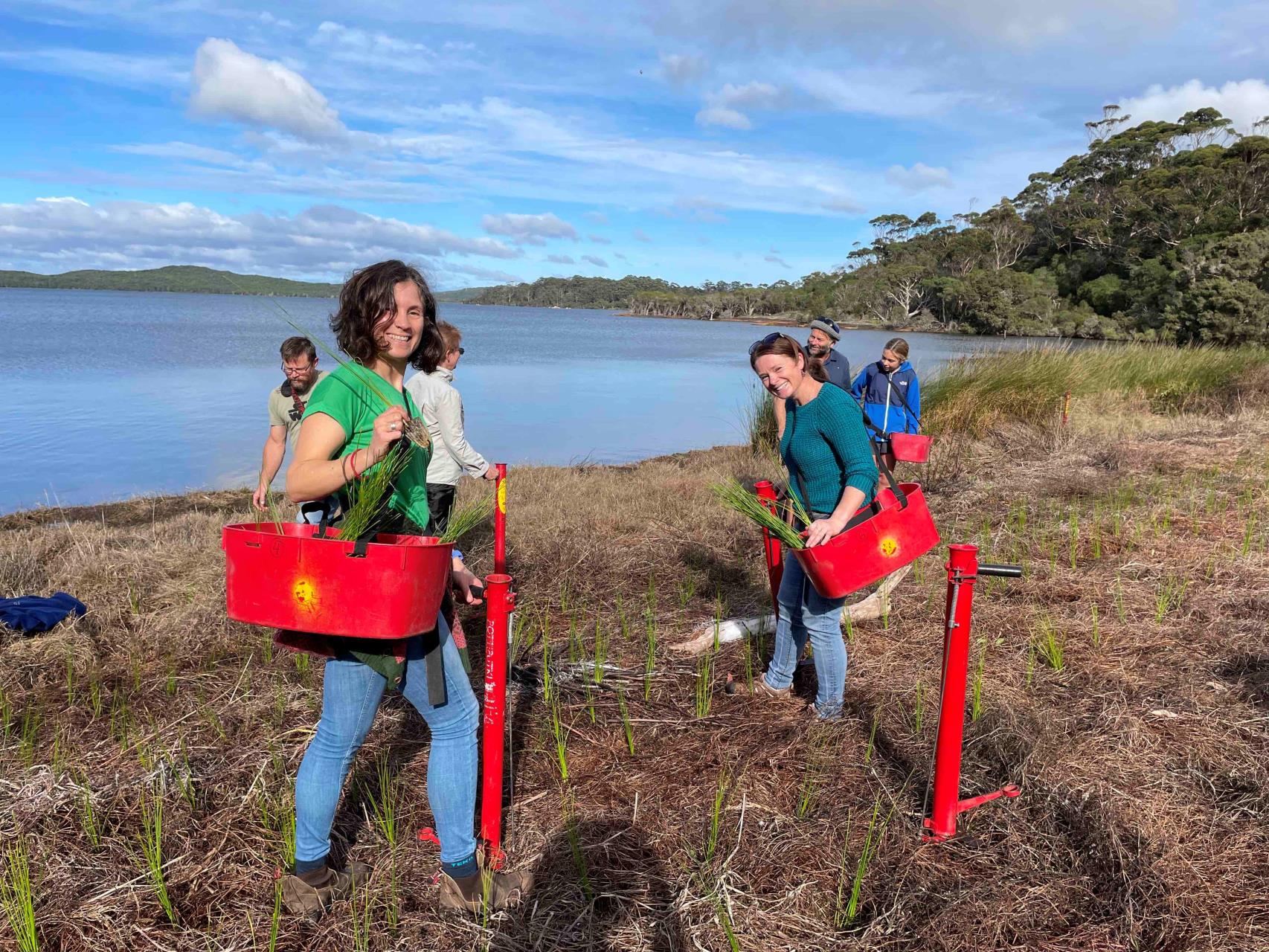Wilson Inlet Community Planting Day: You're Invited